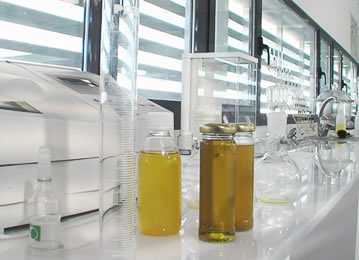 analisis-aceite-de-oliva